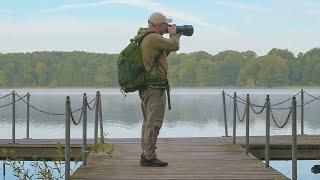 Wildlife Beginner Photography Tips: Get the SHOT Every Time