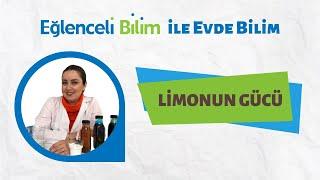 Limonun Gücü & Kendi Portakallı Gazozumuzu Yapalım (Eğlenceli Bilim ile Evde Bilim)