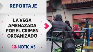 REPORTAJE | La Vega Central bajo amenaza: Organizaciones criminales se disputan el territorio