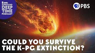 Could You Survive The K-Pg Extinction?