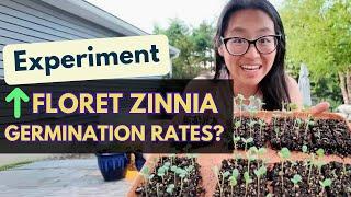 Does Floret Zinnia seed germination improve with this method?