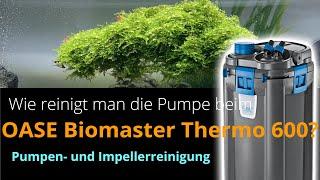 Oase Biomaster Thermo - Wie reinige ich die Pumpe bzw. den Impeller?