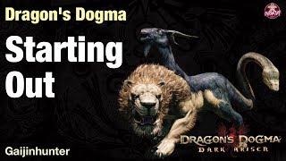 Dragon's Dogma Dark Arisen: Beginner Guide