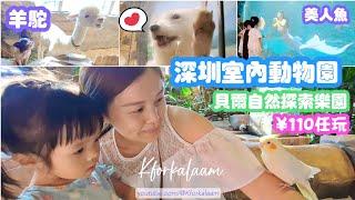 深圳室內動物園 #貝爾自然探索樂園暫停營業 ( ¥110任玩街機、保齡、美人魚、玩沙、歷奇、動物、波波池、唱K、掉鏢......)