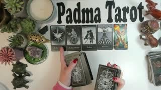 LEO ️ THIS IS YOUR TICKET OUT!FEBRUARY 10TH-16TH CAREER & FINANCES  Weekly Tarot Reading  