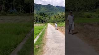 Riding through the rice fields in Indonesia - Samosir Island, Sumatra