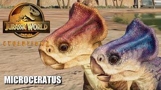 4 Velociraptor Hunting Microceratus & All Skins Showcase - Jurassic World Evolution (4K 60FPS)