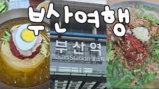 1박 2일 부산여행 브이로그 vlog. 기장손칼국수 맛집탐방 돼지국밥 밀면 부산어묵 오뎅 해운대 찜질방 서면 결혼식 하객