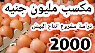 #دراسة جدوى حديثة #مشروع انتاج البيض #ارباح مليون جنيه #تربية الدواجن #بيض #دجاج