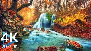  Autumn Ambience in 4K: Relaxing Piano Music for Meditation and Calm | Fall Serenity Video