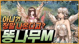 신작 모바일게임 인데 중고인 똥나무M은 어떻게 나올까? (Tree of Savior M 트리 오브 세이비어 M)