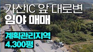 가산IC+통합신공항 '투자최적지!' 계획관리지역 4,300평 임야매매 구미토지매매