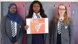 Goal 5: Gender Equality