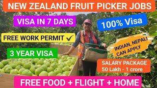  New zealand Fruit picker & Helper Jobs 2024 | Move in 7 days | New Zealand Free work visa