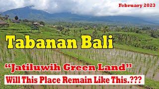 Jatiluwih Green Land..!! Will This Place Remain Like This ..??? Tabanan Bali February 2023