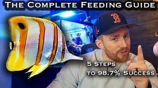 5 Steps to Get Copperband Butterfly Fish to Eat (98.7% Success )