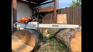 STIHL MS881 - Die stärkste Motorsäge von Stihl im Einsatz!