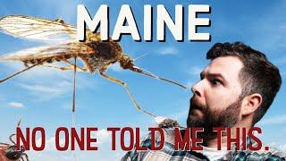 No One Will Talk About This : Living In Maine | Moving to Maine