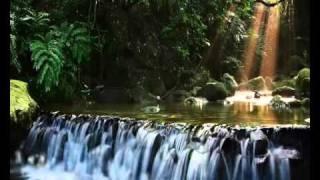 To Clear the Mind (Bamboo Flute & Nature Sounds)