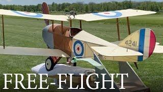 Rubber-Powered Model Airplane - 31" Span 1914 Martinsyde S.1 - Trim Session #4