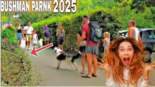 ULTIMATE BUSHMAN PRANK (THE BEST OF 2025 @Bushmanparnk