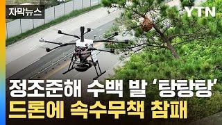 [자막뉴스] 드론 앞에 속수무책 전멸...말벌 잡는 혁신적 기술 / YTN