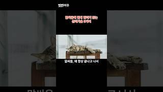 말싸움에 절대 밀리지않는 심리기술 5가지 #말싸움이기는법 #대화기술 #대화심리학 #감정조절  #말싸움심리전 #직장인꿀팁 #인간관계스트레스 #대화의기술  #의사소통노하우 #감정싸움