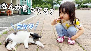寝言を言う野良猫とお喋りしたい3歳娘　／　A Japanese girl wants to chat with a stray cat that talks in its sleep.