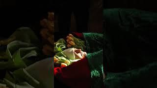 Таинственный знак на прощании с Алтынбеком #назарбаев #сарсенбаев #гиперборей