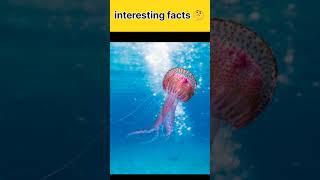 Top 3 interesting facts | unknown facts | most interesting facts | #facts