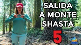 FUSIÓN DE LOS 4 ELEMENTOS ULTRA ACTIVACIÓN [Meditación] Salida a Mt. Shasta Sixto Paz| Parte 5