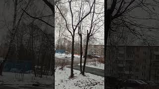 Улица Оранжерейная