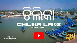 Chilika Lake | ଚିଲିକା | Odisha Tourism | Nature | 4K | Dayal Graphics