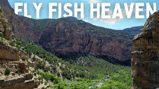 Fly Fishing Exotic Hidden Canyon Creek