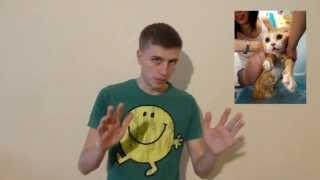 Выпуск #2 — Хороший Программист
