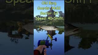 Russian Fishing 4 Old Burg active pike spot Full Video in description