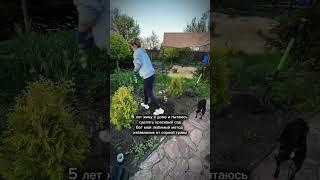 Сначала надо вытащить сорняк ⤵️