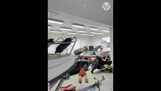 Moose enters car garage and damages the cars  #animals #cars