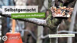 Selbstgemacht: Vogelfutter zum Aufhängen | gardify Tipps