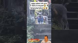 Oggy uses this trick to make the tilapia go away  #dog