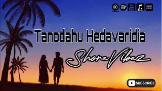 SHOREVIBEZ 2024 _ TANODAHU HEDAVARIDIA _ [PNG Local Music 2024]