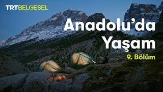 Anadolu'da Yaşam | Dağ | TRT Belgesel