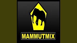Mammutmix (feat. Aytee, Casa, Das K-Element, Der Asiate, Diverse, EnteTainment, Gary...