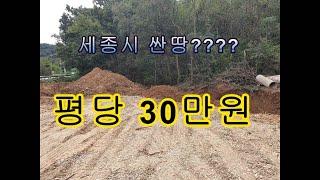 세종시 갑사 가는길 싼땅 평당 30만원 도로 8미터접