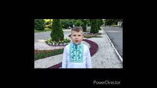 Стаття 11 "Конституції для всіх"