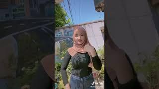 Tiktok pemersatu bangsa gunung gede