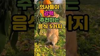 의사들이 인정한 건강식 TOP5