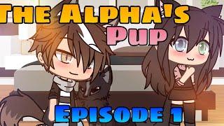 [ The Alpha's Pup ]~ Her Secret Revealed~ Episode 1 ~{ Inspired by Itz Sofi and Peachiiuka }