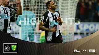 Newcastle United 1 Norwich City 1 | Premier League Highlights