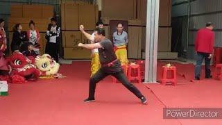 10 Animals Hung Kuen 洪拳  - Leopard Shape 豹形